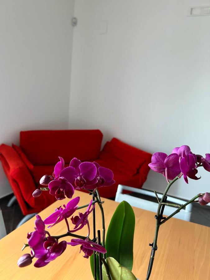 A Due Passi Da Appartement Corato Buitenkant foto